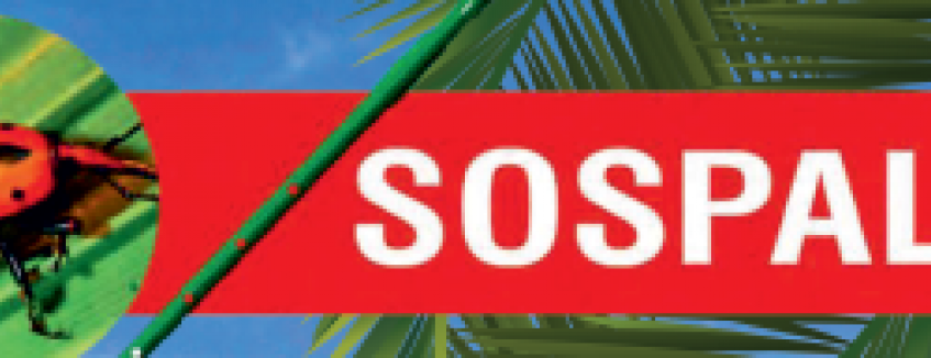 SOSPALM