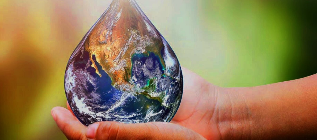 Çevreye Duyarlı, Canlıya Saygılı